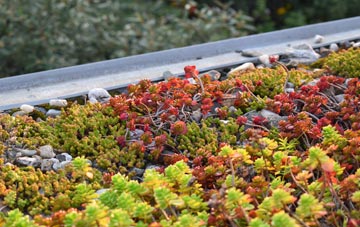 the cost of Wyville green roof installation