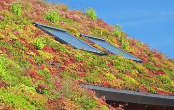 Wyville living roof systems