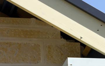 soffit repair Wyville